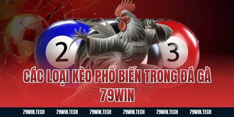 Các loại kèo phổ biến trong đá gà 79WIN