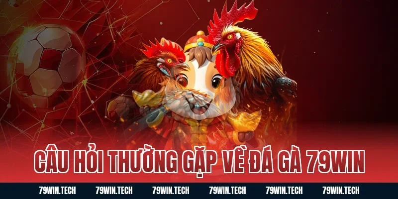 Câu hỏi thường gặp về đá gà 79WIN