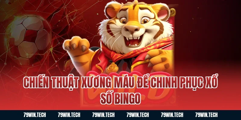 Chiến thuật xương máu để chinh phục xổ số bingo