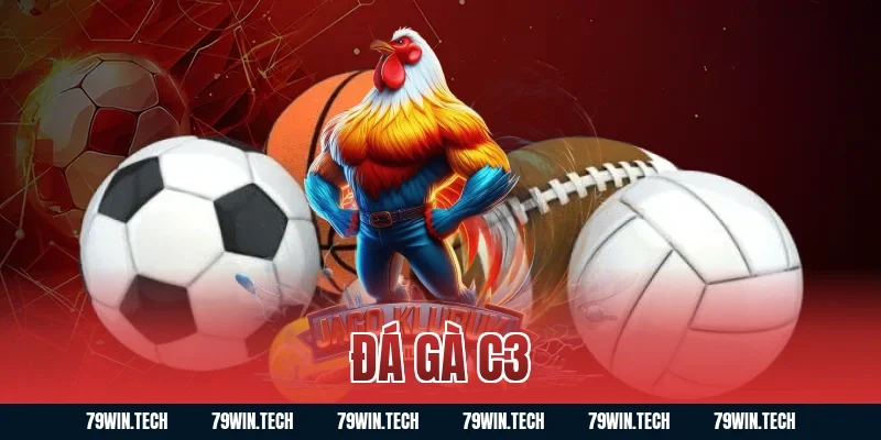 đá gà C3