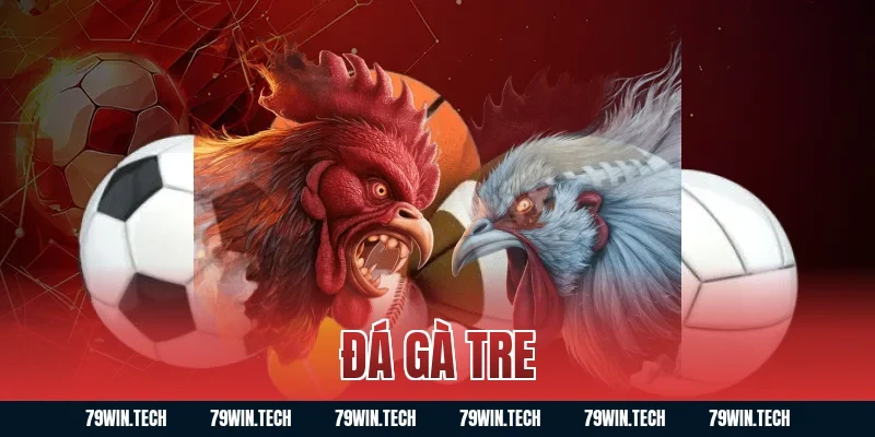 đá gà tre