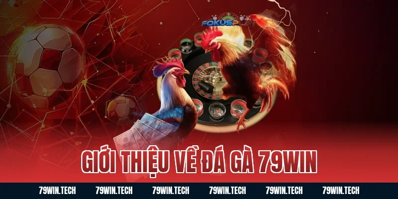 Giới thiệu về đá gà 79WIN
