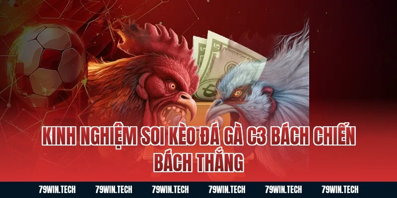 Kinh nghiệm soi kèo đá gà C3 bách chiến bách thắng