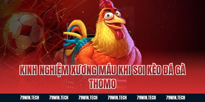 Kinh nghiệm xương máu khi soi kèo đá gà thomo