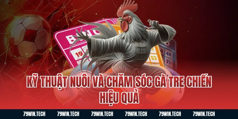 Kỹ thuật nuôi và chăm sóc gà tre chiến hiệu quả
