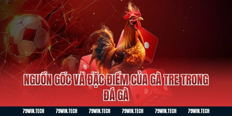 Nguồn gốc và đặc điểm của gà tre trong đá gà