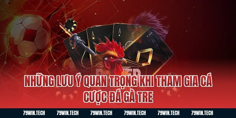 Những lưu ý quan trọng khi tham gia cá cược đá gà tre