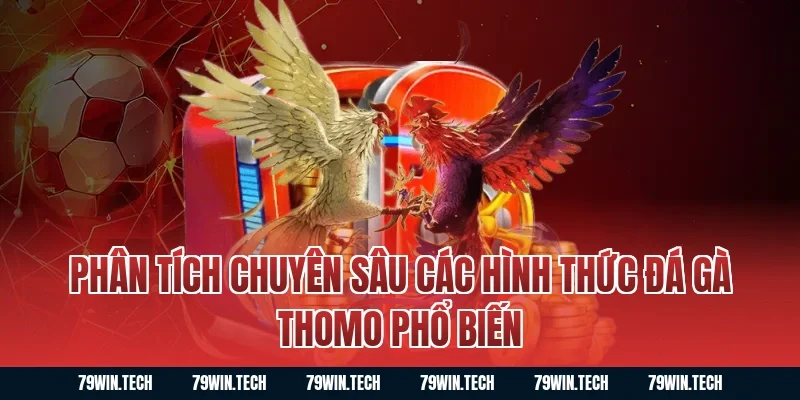 Phân tích chuyên sâu các hình thức đá gà thomo phổ biến