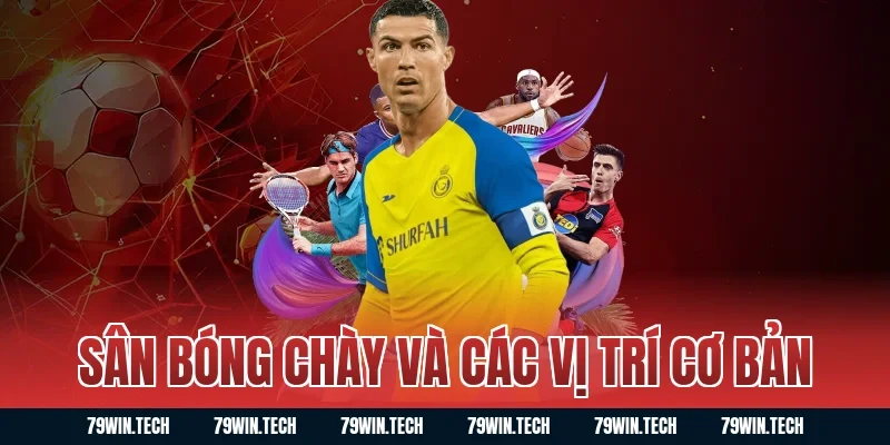 Sân bóng chày và các vị trí cơ bản