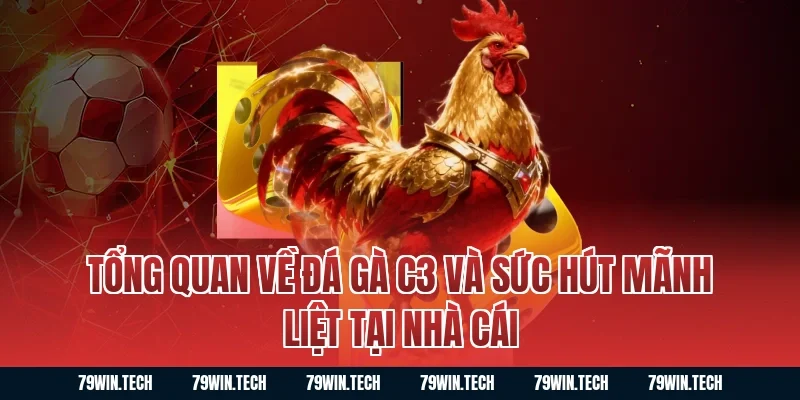 Tổng quan về đá gà C3 và sức hút mãnh liệt tại nhà cái