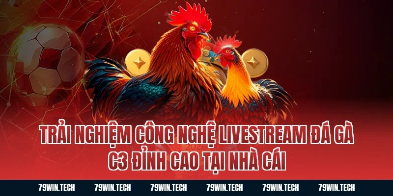 Trải nghiệm công nghệ livestream đá gà C3 đỉnh cao tại nhà cái